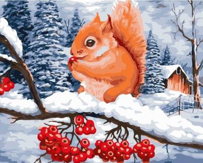 Opakowanie Malowanie po numerach 40x50 Wiewiórka