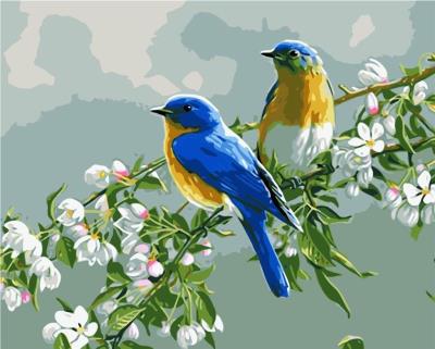 Opakowanie Malowanie po numerach - 40x50cm Ptaki