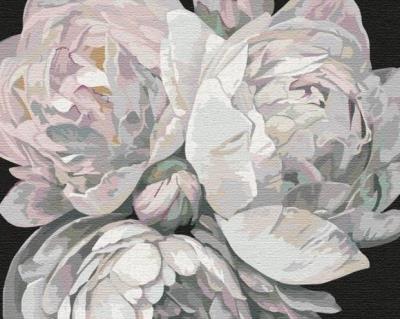 Opakowanie Malowanie po numerach - Barwy piwonia 40x50cm