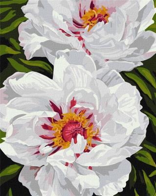 Opakowanie Malowanie po numerach - Białe piwonie 40x50cm
