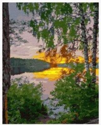 Opakowanie Malowanie po numerach Brzoza zachód  słońca