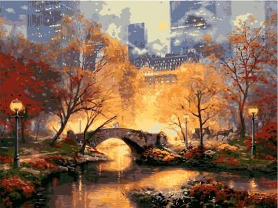 Opakowanie Malowanie po numerach - Central Park 30x40cm