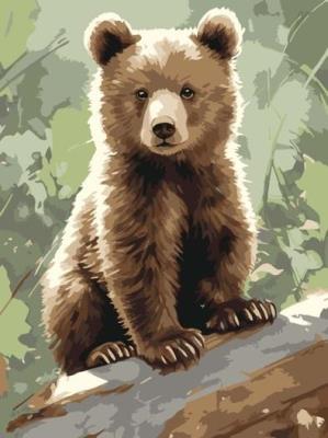 Opakowanie Malowanie po numerach - Ciekawy Miś 30x40cm