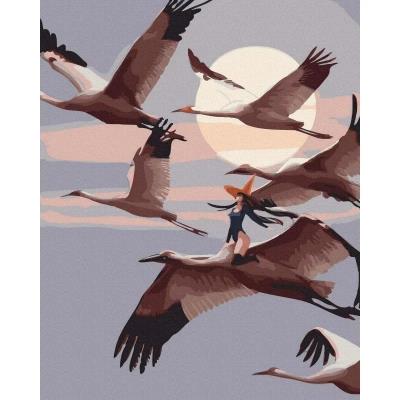 Opakowanie Malowanie po numerach Czarownica bez miotły 40x50