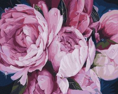 Opakowanie Malowanie po numerach - Czułość piwonii 40x50cm