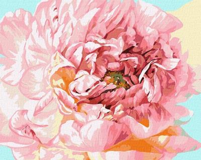 Opakowanie Malowanie po numerach - Delikatna piwonia 40x50cm