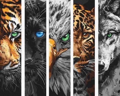 Opakowanie Malowanie po numerach - Drapieżniki 40x50cm