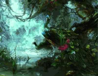 Opakowanie Malowanie po numerach - Dzikie pawie 30x40cm