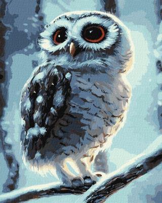 Opakowanie Malowanie po numerach - Dziwo-sowa 40x50cm