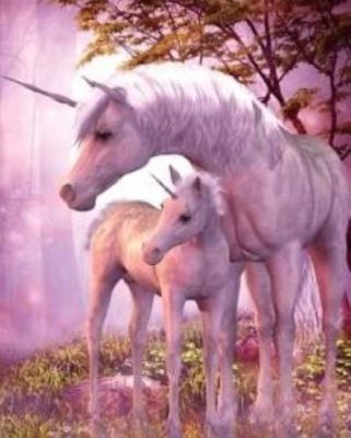 Opakowanie Malowanie po numerach Jednorożce klacz z źrebakiem