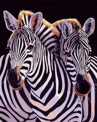 Opakowanie Malowanie po numerach - Jedność zebr 40x50cm