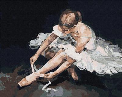 Opakowanie Malowanie po numerach - Kobieca łaska 40x50cm