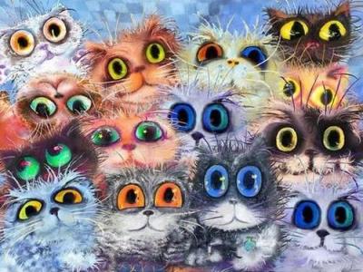 Opakowanie Malowanie po numerach Kolorowe koty