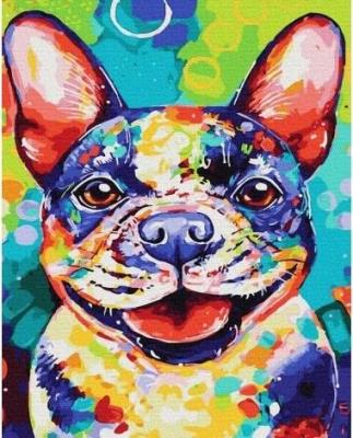 Opakowanie Malowanie po numerach - Kolorowy mops 40x50cm