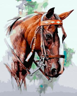 Opakowanie Malowanie po numerach Koń brązowy