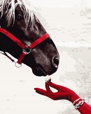 Opakowanie Malowanie po numerach - Koń i biżuteria 40x50cm