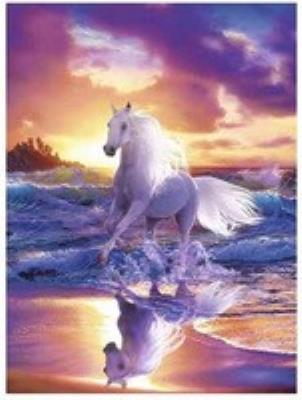 Opakowanie Malowanie po numerach Koń na plaży zachód słońca
