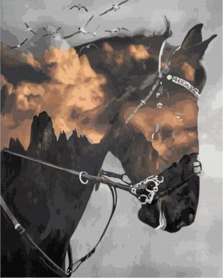 Opakowanie Malowanie po numerach Koń