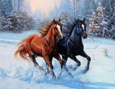 Opakowanie Malowanie po numerach Konie galopujące w śniegu