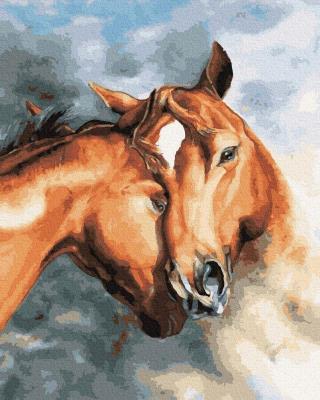 Opakowanie Malowanie po numerach - Końska czułość 40x50cm