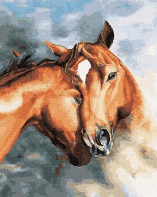 Opakowanie Malowanie po numerach Końska czułość