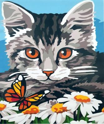 Opakowanie Malowanie po numerach kot burasek ze stokrotkami i motylkiem