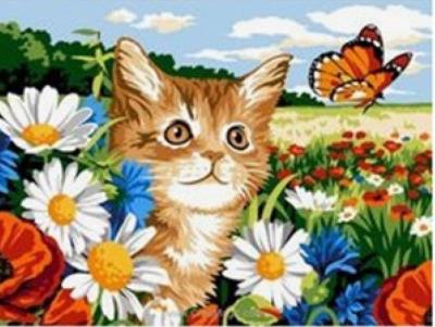 Opakowanie Malowanie po numerach kot na łące polujący na motylka