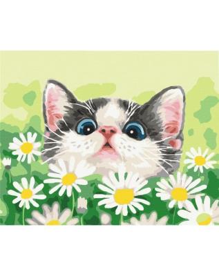Opakowanie Malowanie po numerach - Kot w stokrotkach 40x50cm