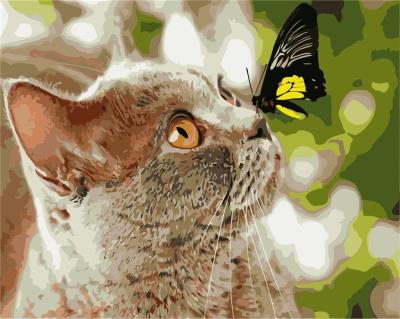 Opakowanie Malowanie po numerach - Kotek i motylek 40x50cm