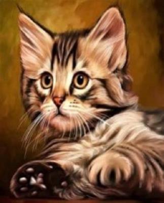 Opakowanie Malowanie po numerach Kotek mały portret w brązie malarstwo