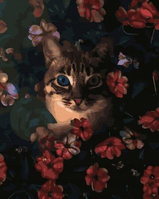 Opakowanie Malowanie po numerach Kotek w doniczce