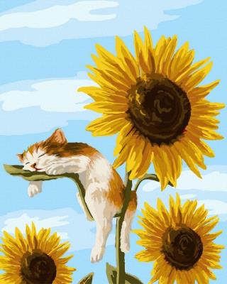 Opakowanie Malowanie po numerach Kotek w słonecznikach