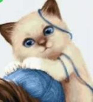 Opakowanie Malowanie po numerach - Kotek z plątaniną 40x50cm