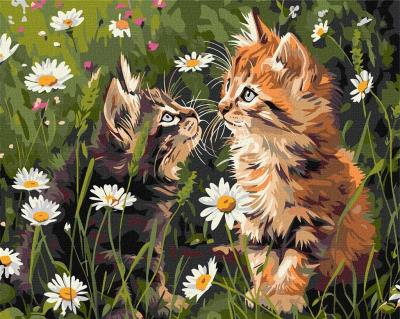 Opakowanie Malowanie po numerach - Koty w kwiatach 40x50cm