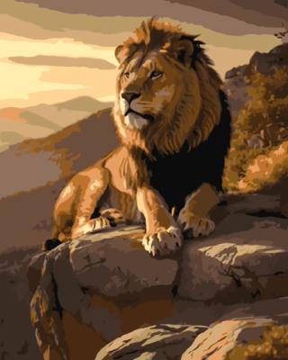 Opakowanie Malowanie po numerach - Król Bestii 40x50cm