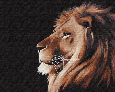 Opakowanie Malowanie po numerach - Królewskie spojrzenie