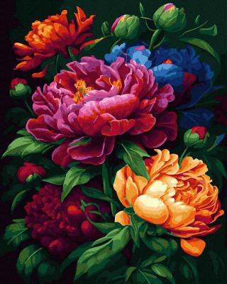 Opakowanie Malowanie po numerach Kwitnące Piwonie