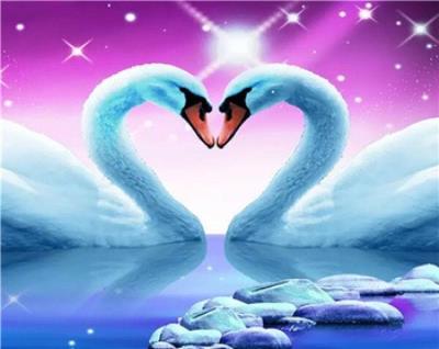 Opakowanie Malowanie po numerach Łabędzie serduszko w fiolecie