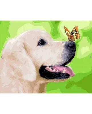 Opakowanie Malowanie po numerach - Labrador i motyl 40x50cm