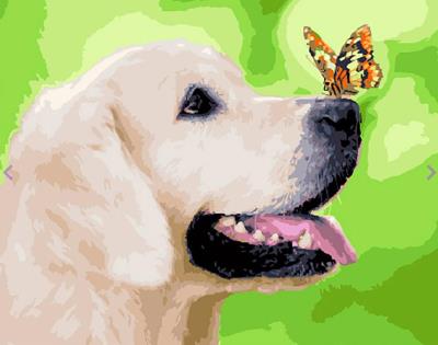 Opakowanie Malowanie po numerach Labrador i motyl