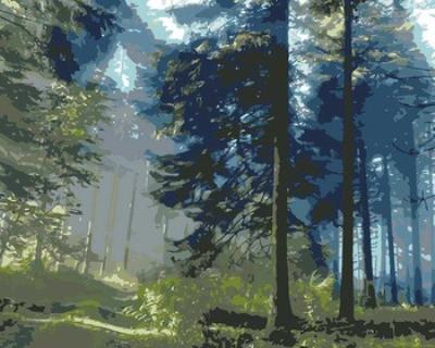 Opakowanie Malowanie po numerach Las poranek