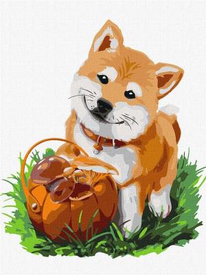 Opakowanie Malowanie po numerach - Leśne przygody 30x40