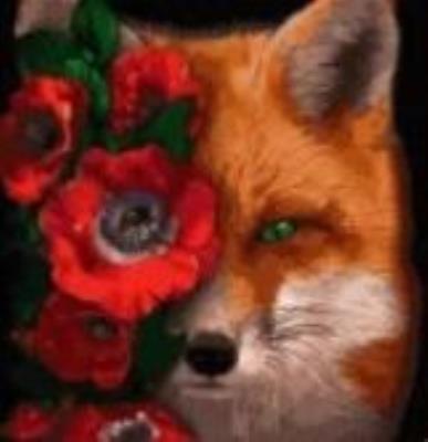 Opakowanie Malowanie po numerach - Lis i kwiaty 40x50cm