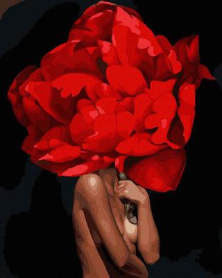 Opakowanie Malowanie po numerach Luksusowe piękno