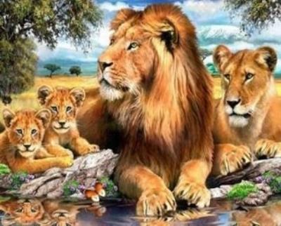 Opakowanie Malowanie po numerach Lwia rodzina wypoczywająca