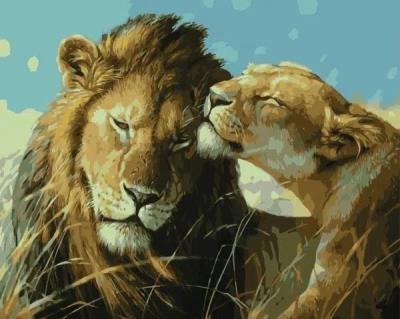 Opakowanie Malowanie po numerach - Lwy na safari 40x50cm