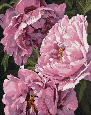 Opakowanie Malowanie po numerach - Magia kwiatów 40x50cm