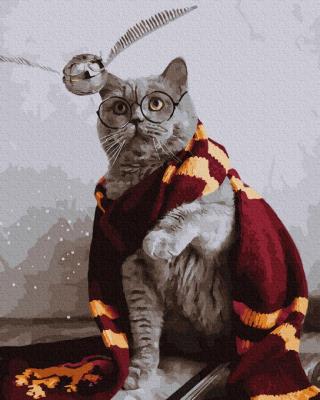 Opakowanie Malowanie po numerach Magiczny kot