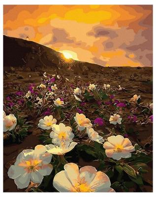 Opakowanie Malowanie po numerach - Magiczny krajobraz 40x50cm