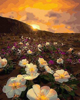 Opakowanie Malowanie po numerach Magiczny krajobraz